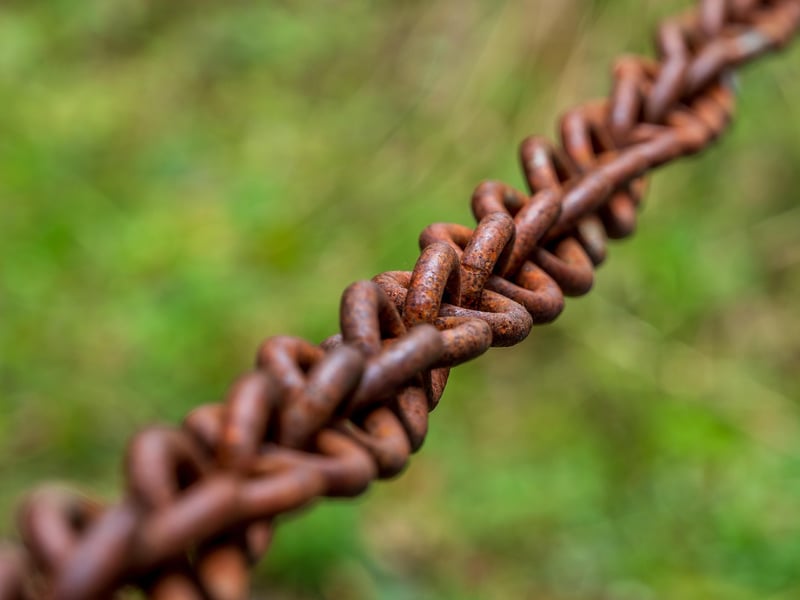 Nature connection